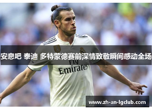 安息吧 泰迪 多特蒙德赛前深情致敬瞬间感动全场 安息吧 泰迪 多特蒙德赛前深情致敬瞬间感动全场