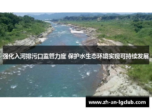 强化入河排污口监管力度 保护水生态环境实现可持续发展 强化入河排污口监管力度 保护水生态环境实现可持续发展