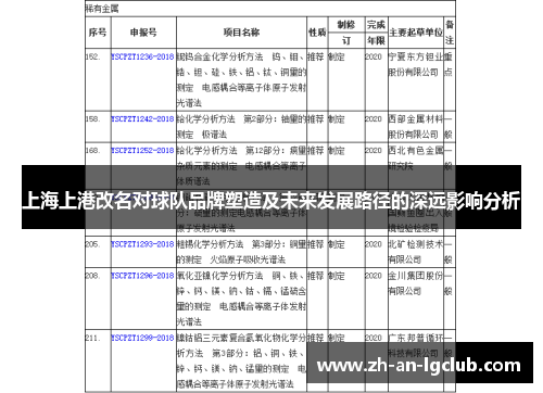 上海上港改名对球队品牌塑造及未来发展路径的深远影响分析 上海上港改名对球队品牌塑造及未来发展路径的深远影响分析
