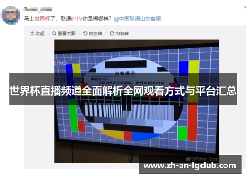 世界杯直播频道全面解析全网观看方式与平台汇总