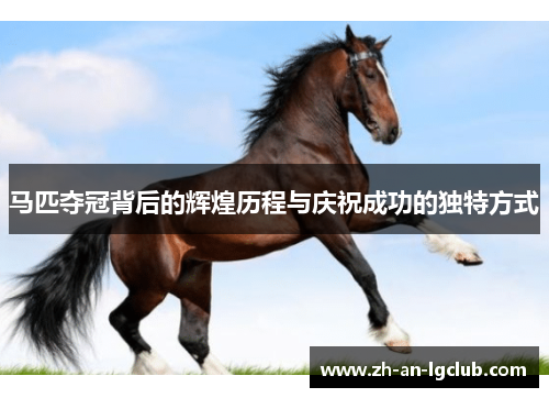 马匹夺冠背后的辉煌历程与庆祝成功的独特方式