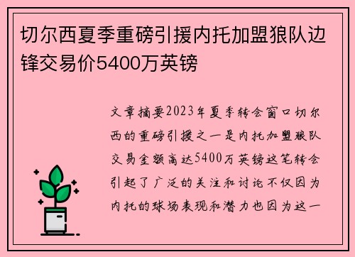 切尔西夏季重磅引援内托加盟狼队边锋交易价5400万英镑 切尔西夏季重磅引援内托加盟狼队边锋交易价5400万英镑