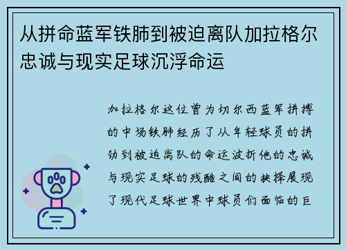 从拼命蓝军铁肺到被迫离队加拉格尔忠诚与现实足球沉浮命运 从拼命蓝军铁肺到被迫离队加拉格尔忠诚与现实足球沉浮命运