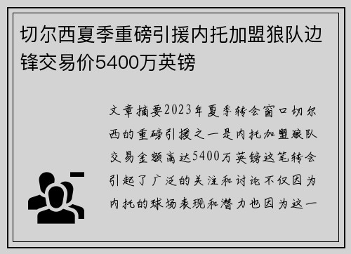 切尔西夏季重磅引援内托加盟狼队边锋交易价5400万英镑